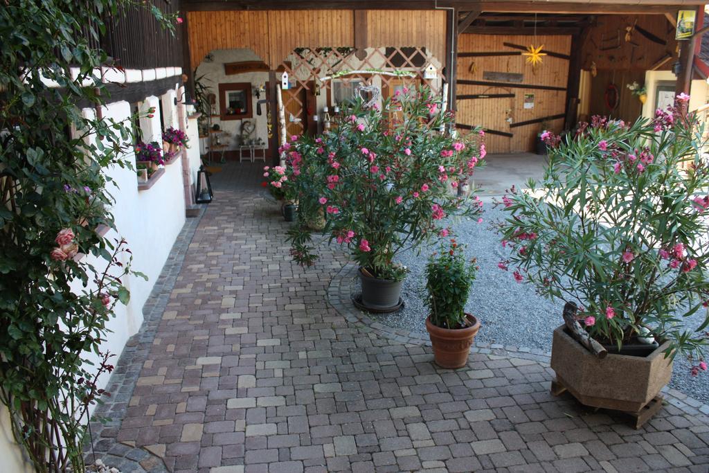 Ferienwohnung Fam. Hoehn Kappel-Grafenhausen Ngoại thất bức ảnh