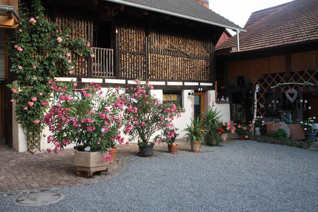 Ferienwohnung Fam. Hoehn Kappel-Grafenhausen Ngoại thất bức ảnh