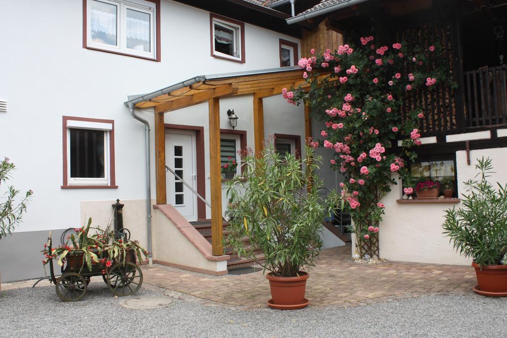 Ferienwohnung Fam. Hoehn Kappel-Grafenhausen Ngoại thất bức ảnh